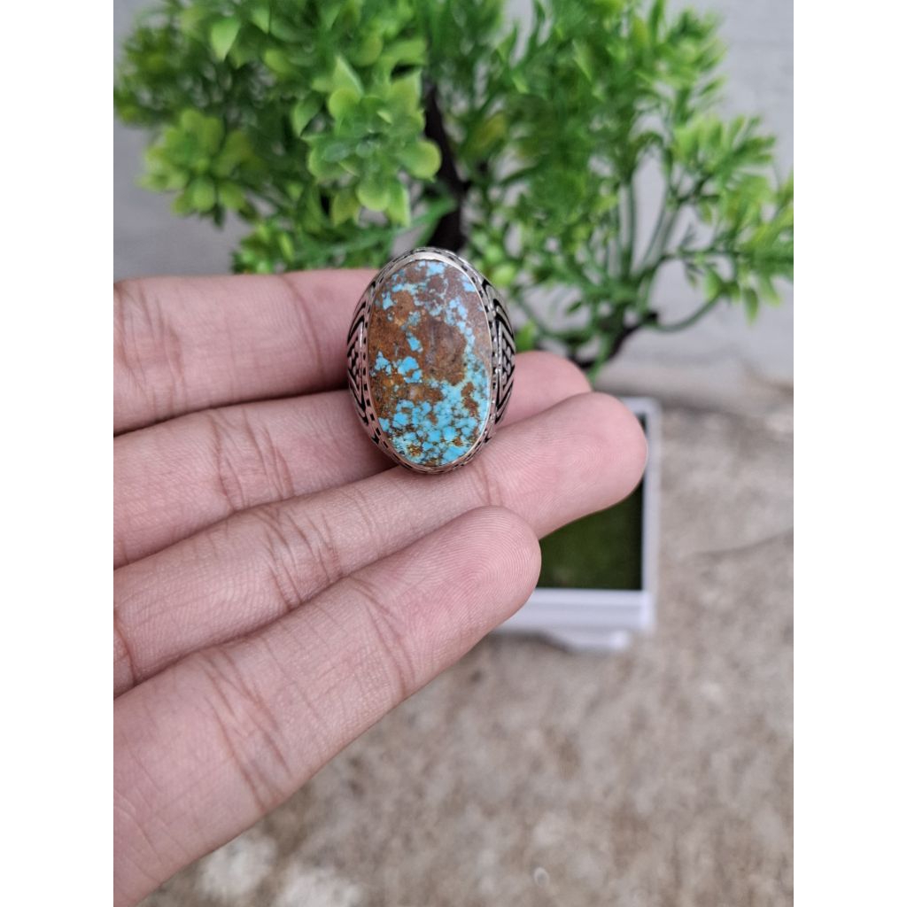 PIRUS PERSIA BIRU CEPLOK SERAT COKLAT