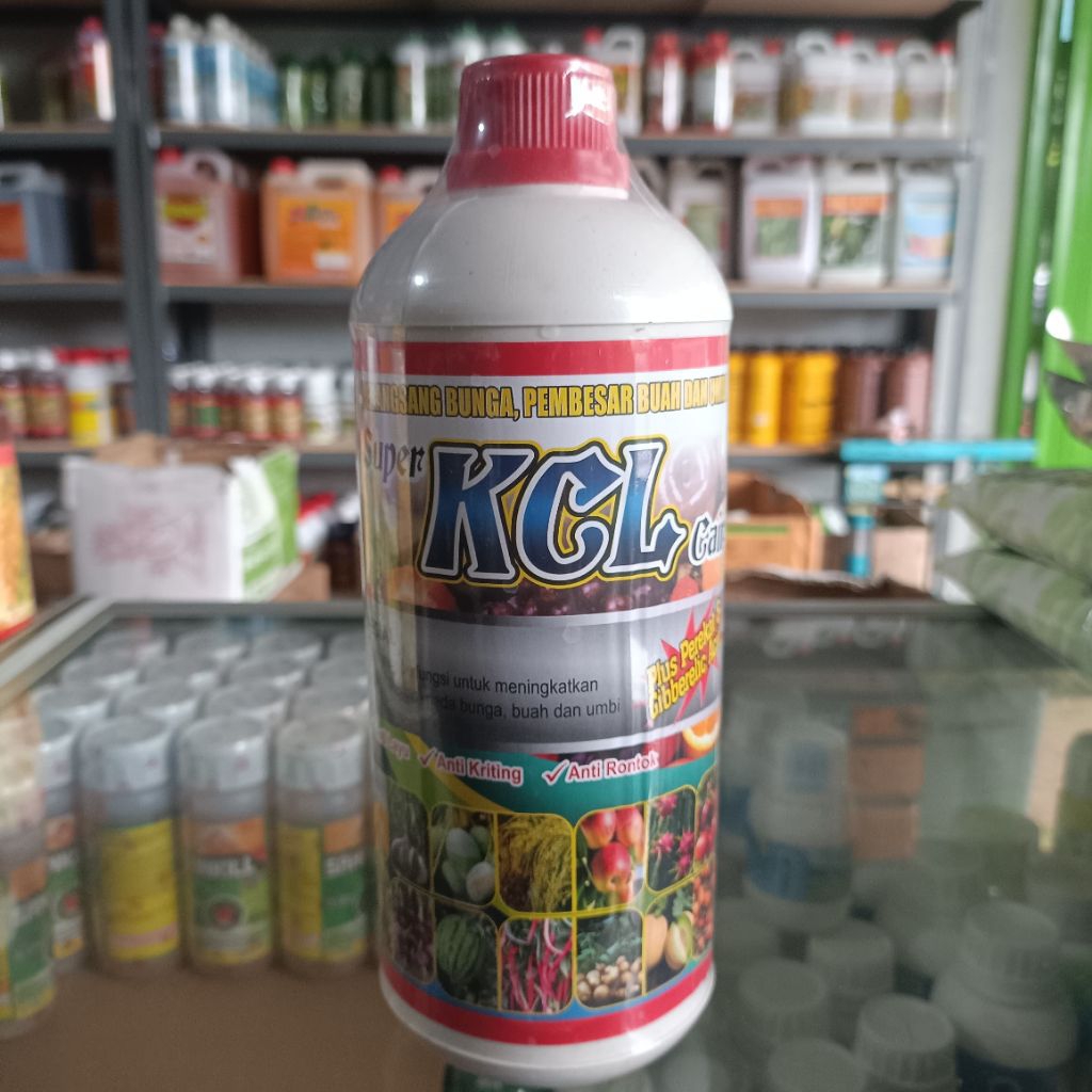 Pupuk KCL Cair 1 Liter – Pupuk Kalium untuk Buah & Daun