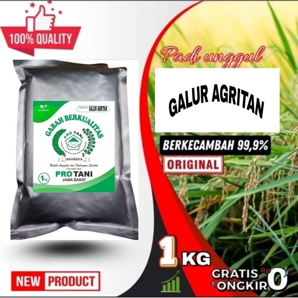 BENIH PADI 1KG GALUR AGRITAN SUPER ORIGNIAL KWALITAS LABEL PUTIH ORI