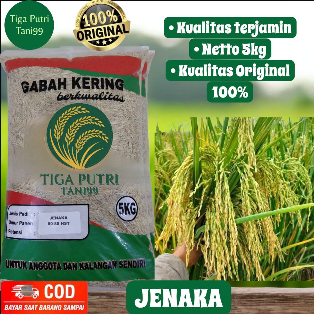 Bibit Padi Unggul Janaka Benih Padi Unggul Janaka kemasan 5kg berkualitas