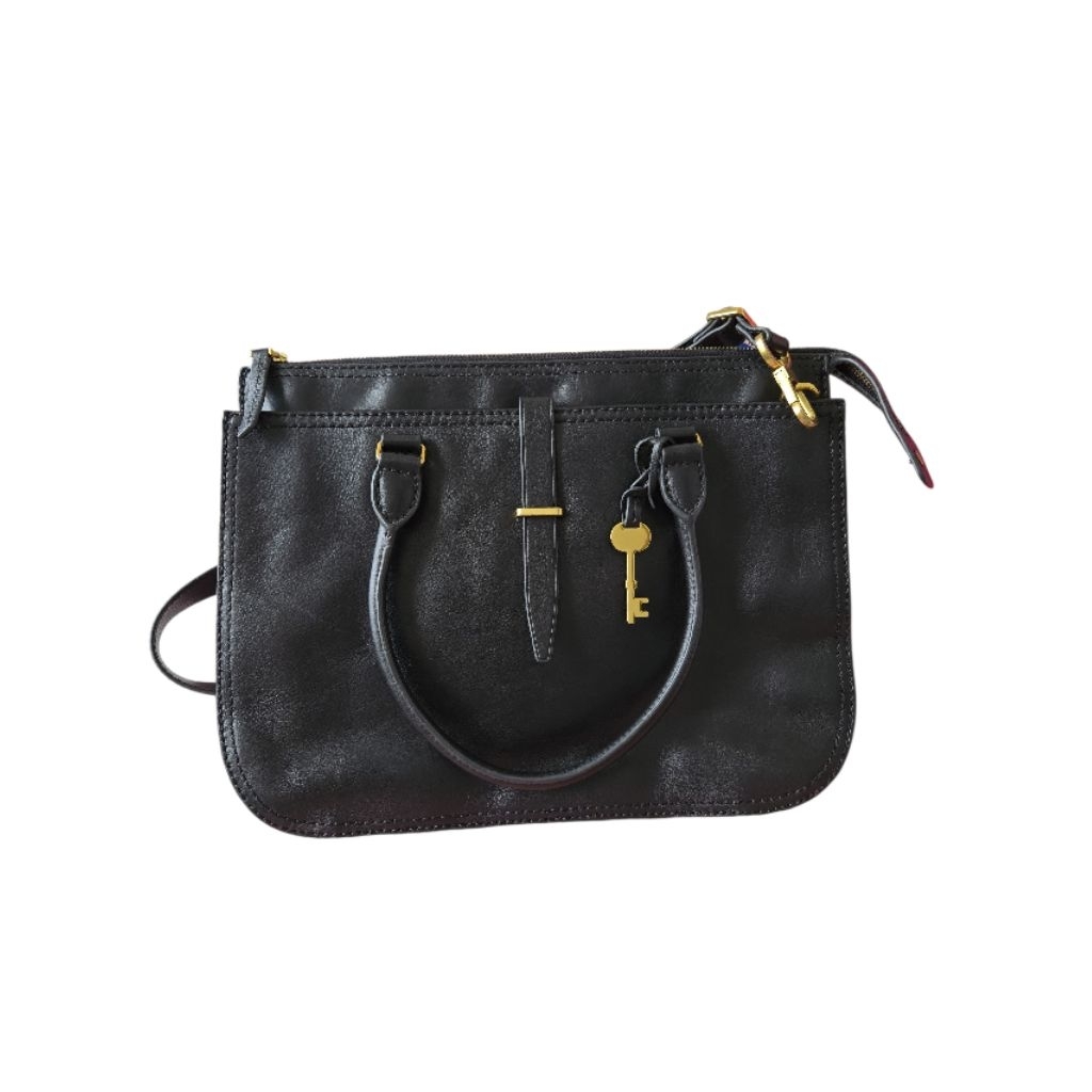 Tas Fossil