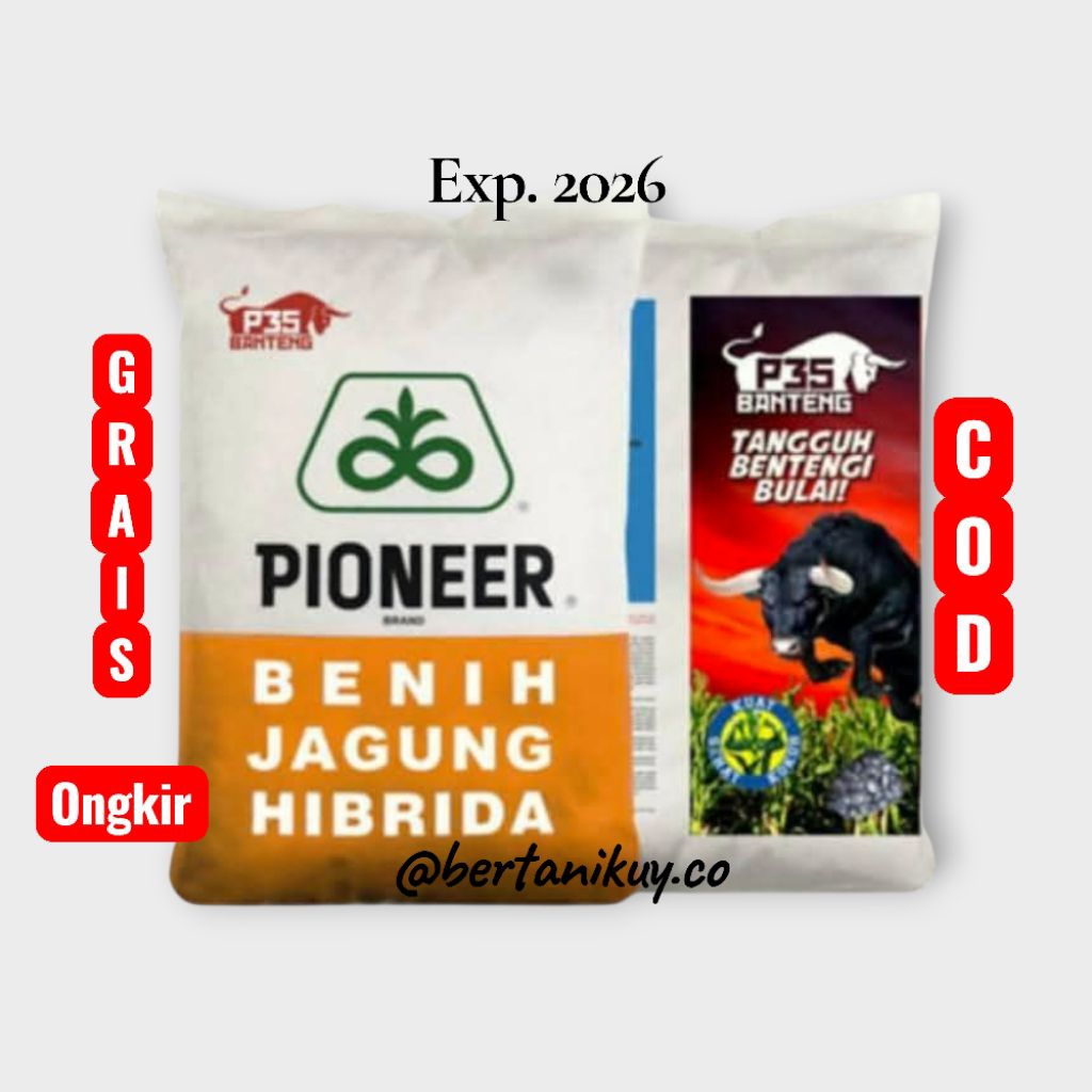(ORIGINAL) BIBIT JAGUNG PIONEER P35 KEMASAN 1KG
