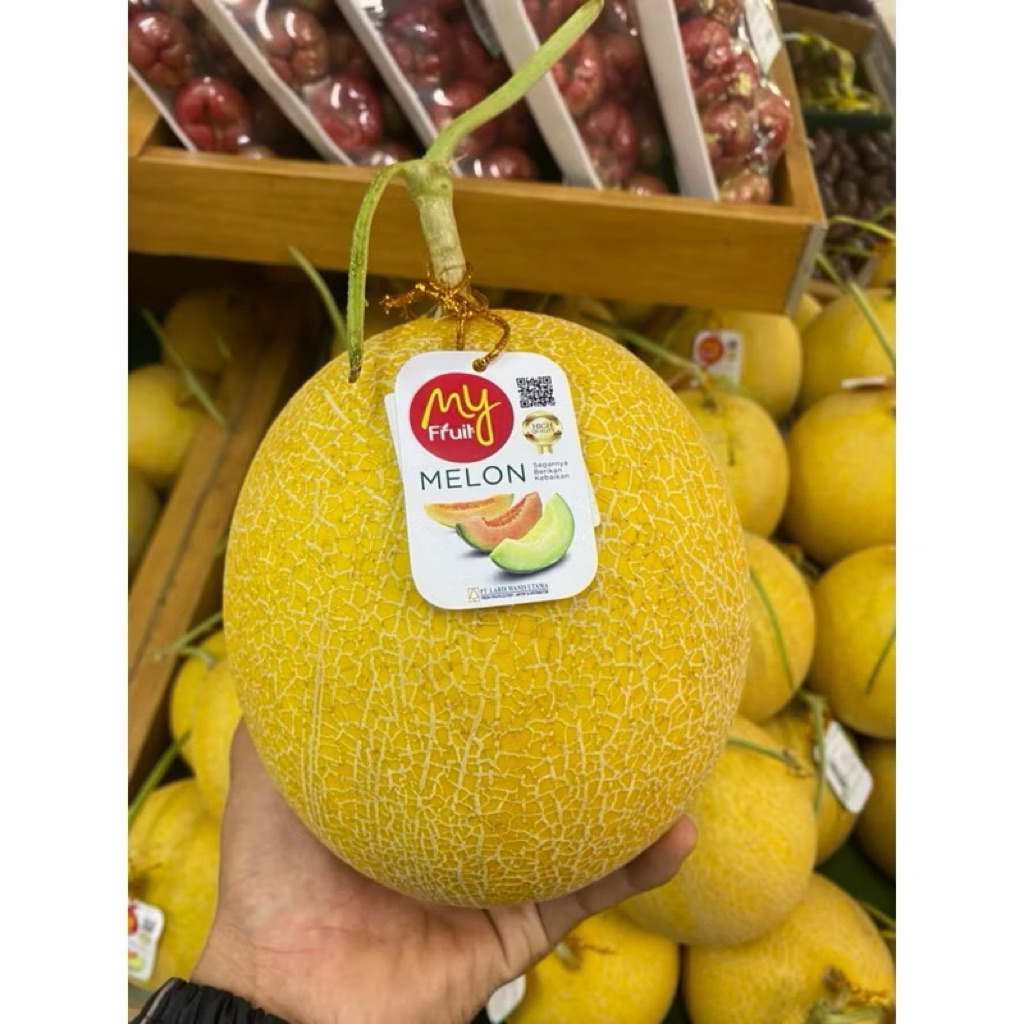 Melon Intanon | Melon Lembut Manis | Melon Jepang Daging Hijau Intanon 1,7Kg