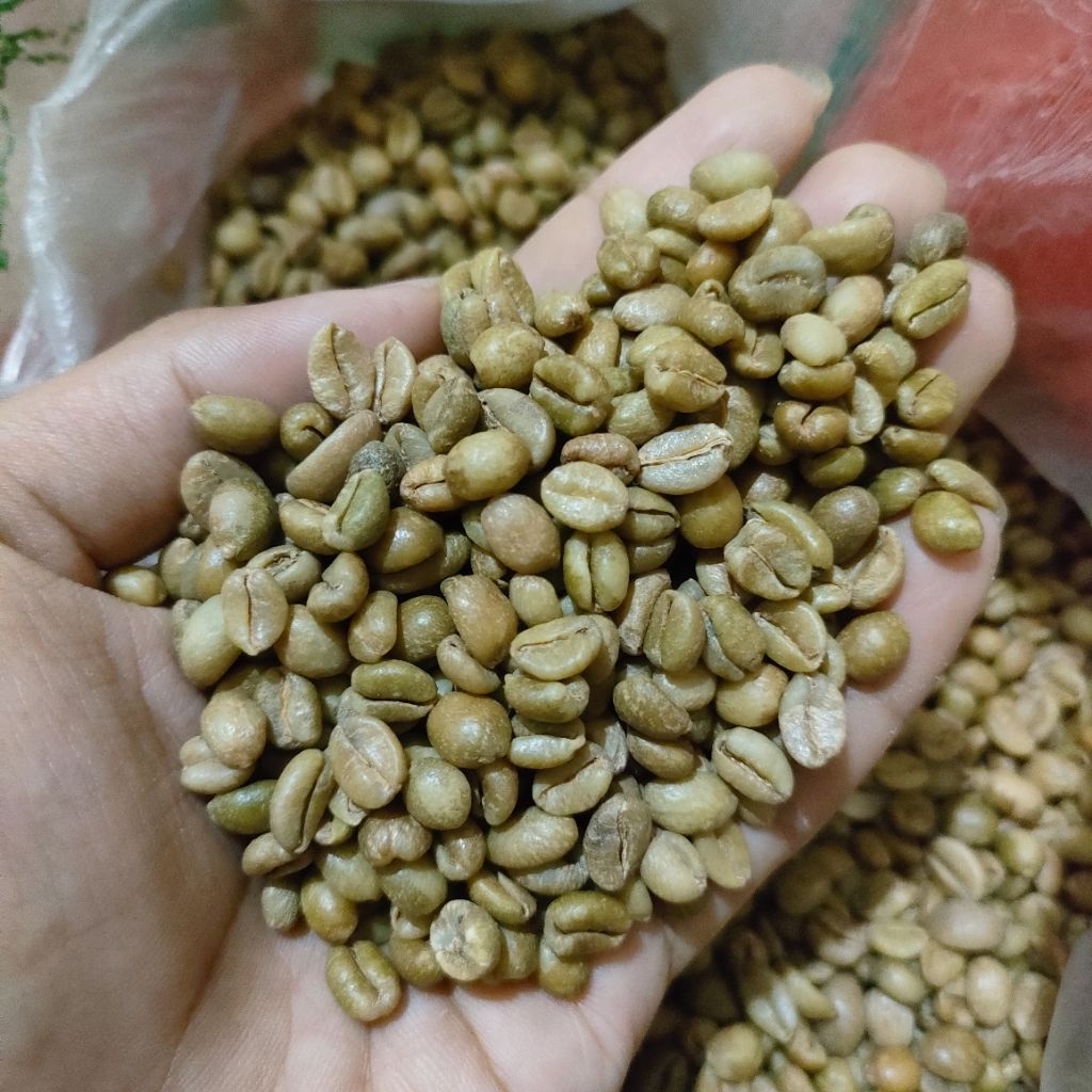 Biji Kopi Liberika/Exelsa Green bean harga murah