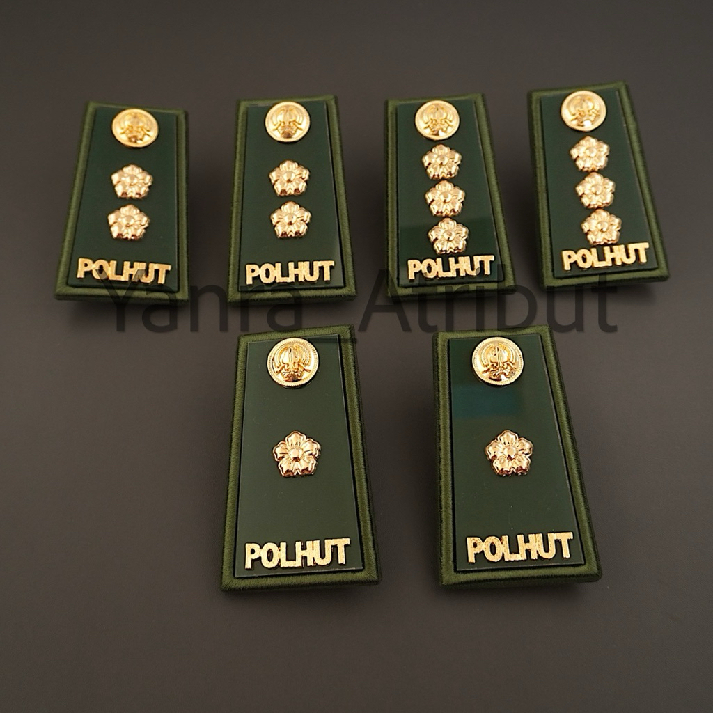 Pangkat Polhut 3D / Pangkat 4A / Polhut 4B Perwira Polisi Kehutanan Premium