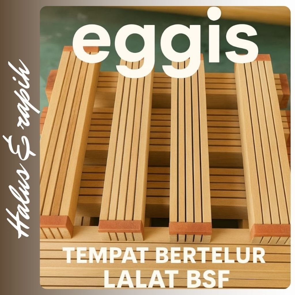 EGGIS MEDIA TELUR LALAT MAGOT BSF kayu tempat telur maggot lalat bsf