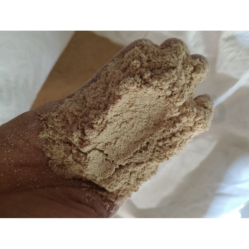 dedak padi halus biasa