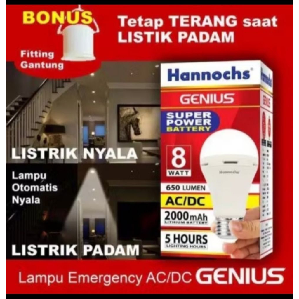 Hannochs ac/dc genius 8 watt