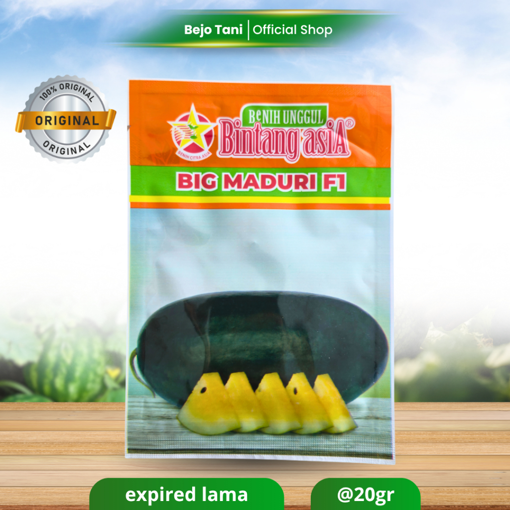 Benih Semangka BIG MADURI F1 20gr Semangka Inul Kuning Bibit Semangka Lonjong