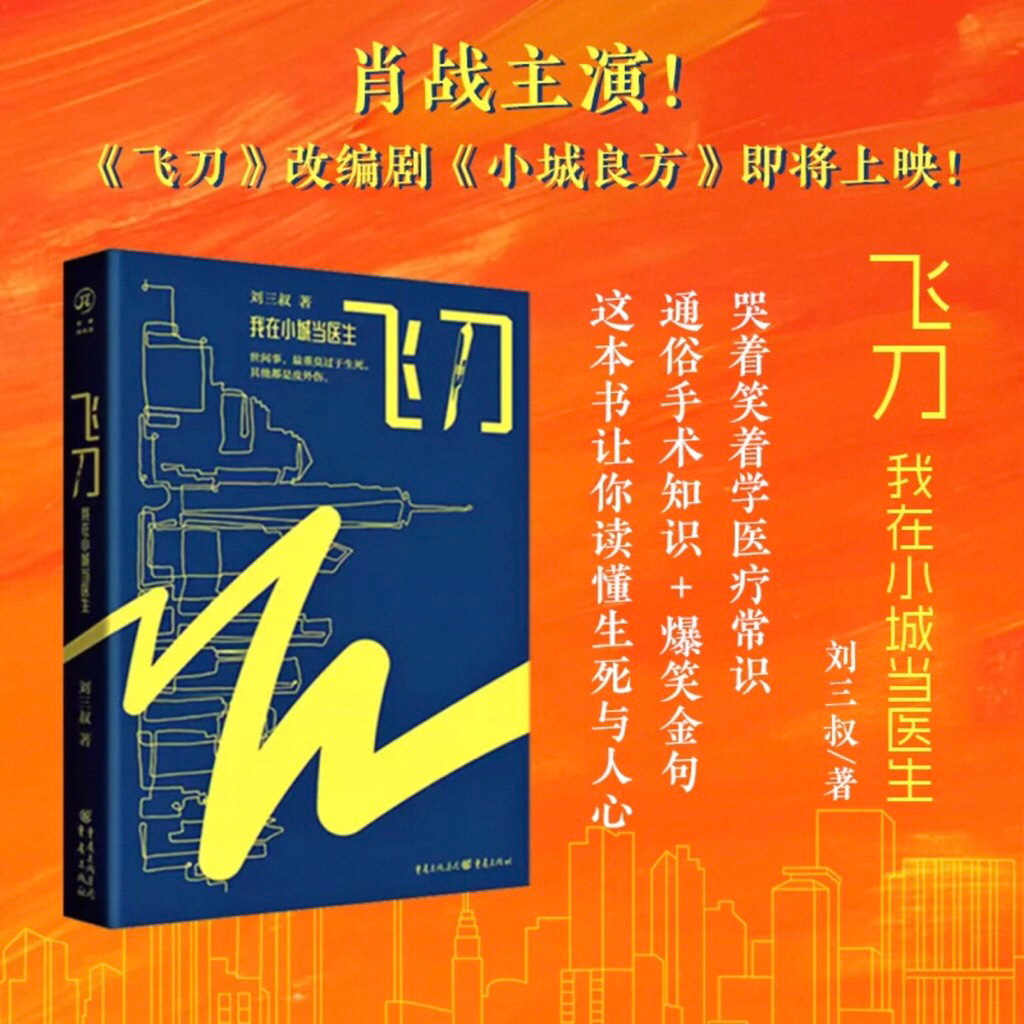 (PO) Novel Mandarin Fei Dao : Wo Zai Xiao Cheng Dang Yi Sheng | Xiao Cheng Liang Fang | The Flying D