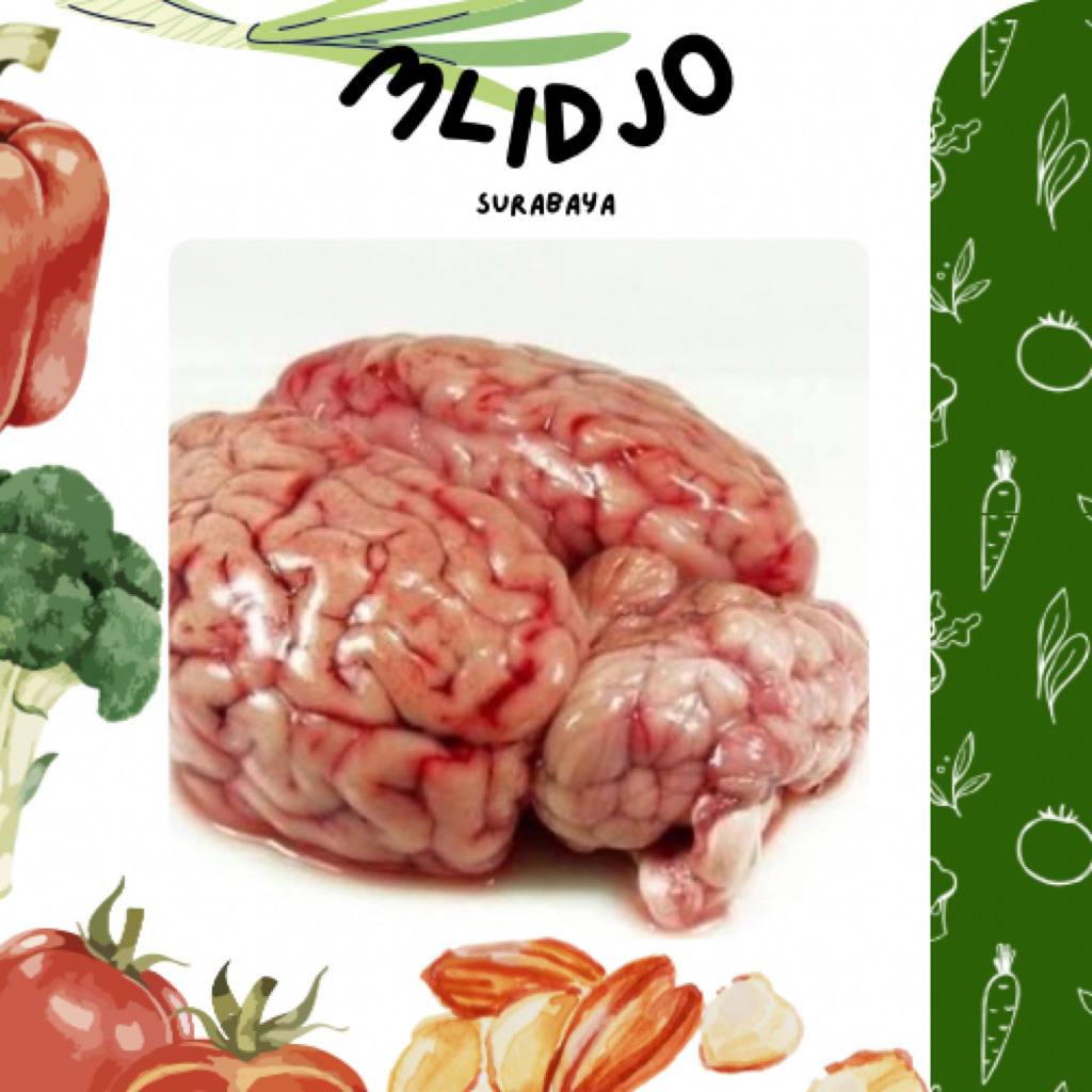OTAK SAPI FRESH UTUH