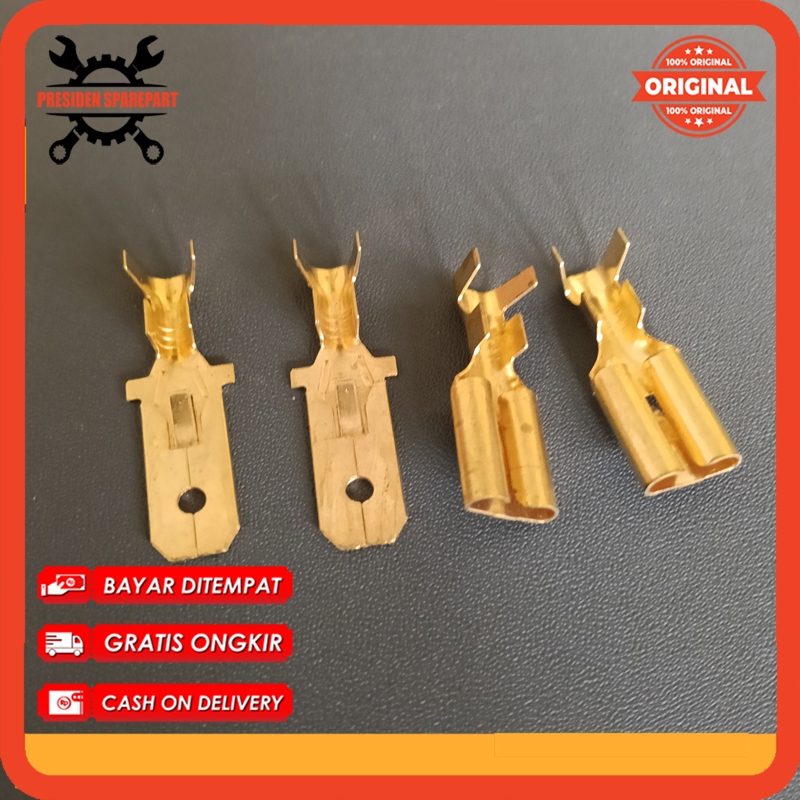 TERMINAL SKUN GEPENG JUMBO