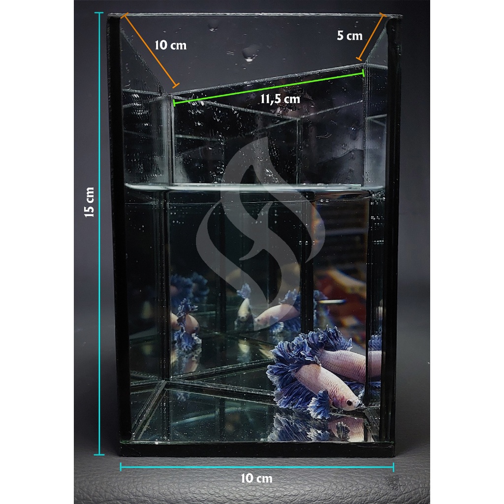Aquarium kaca / Aquarium Mini / Soliter cupang Clear - Trapesium