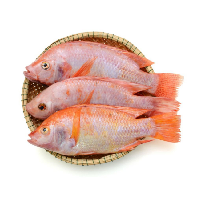 Ikan Nila 1Kg Ikan Nila Segar Ikan Nila Merah Ikan Segar 1Kg