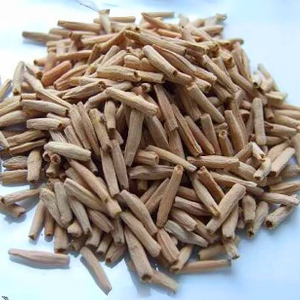 Biji Adenium Super Pilihan – Siap Semai Cepat Tumbuh, Asli dan Segar