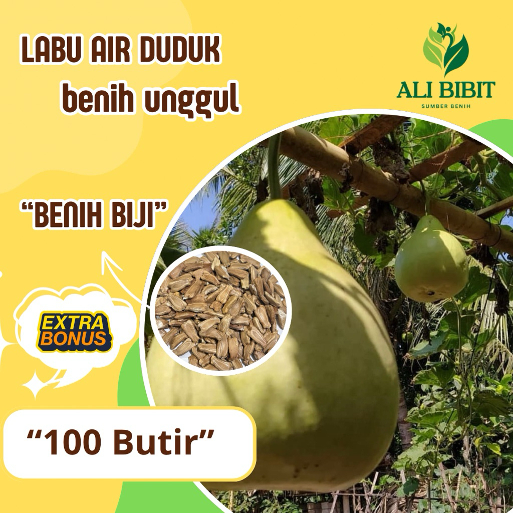 100 Butir> Biji Benih Labu Air Duduk /Labu Bulat> Bibit Labu Air> Bonus benih