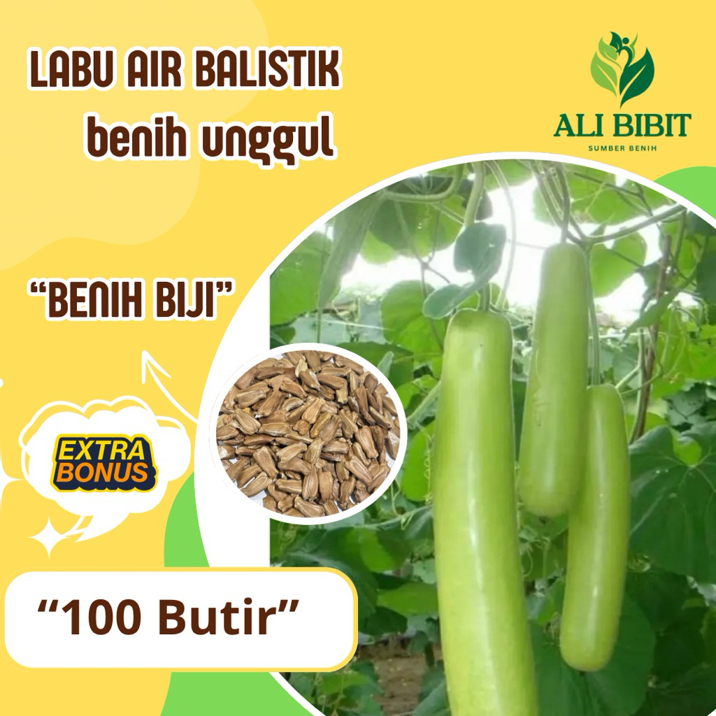 100 Butir> Biji Benih Labu Air Balistik /Labu Air> Bibit Labu Air> Bonus benih