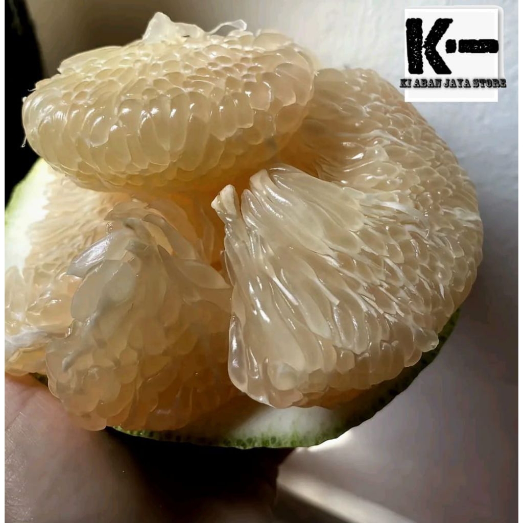 Jeruk bali mini 1kg Grade A