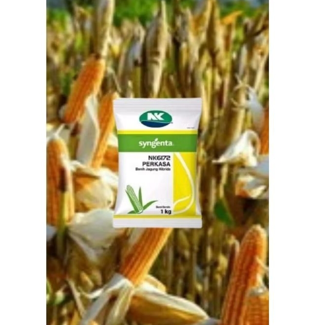 NK PERKASA 6172 1 Kg