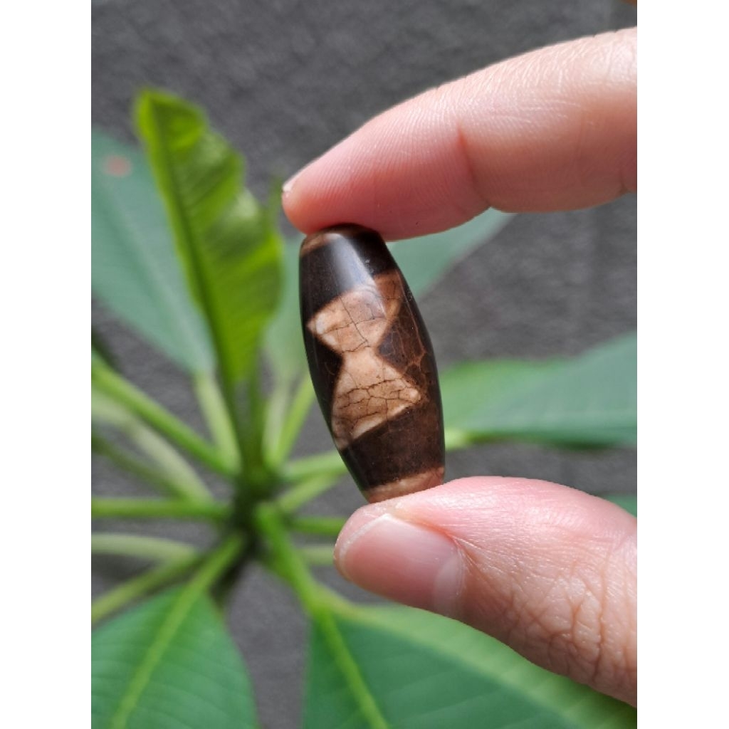 Tibetan Five Eyed Thunder Dzi - Manik Dzi Asli Tibet