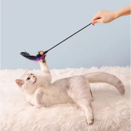 Mainan Tongkat Bulu Kucing Mainan Kucing Bulu Tongkat Mainan Kucing Mainan Kitten