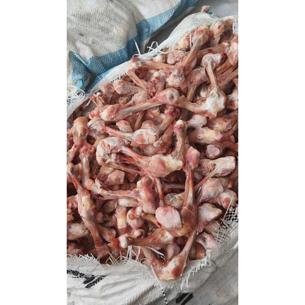 Tulang Dengkul Ayam Bagian Paha/Lutut/Toolset