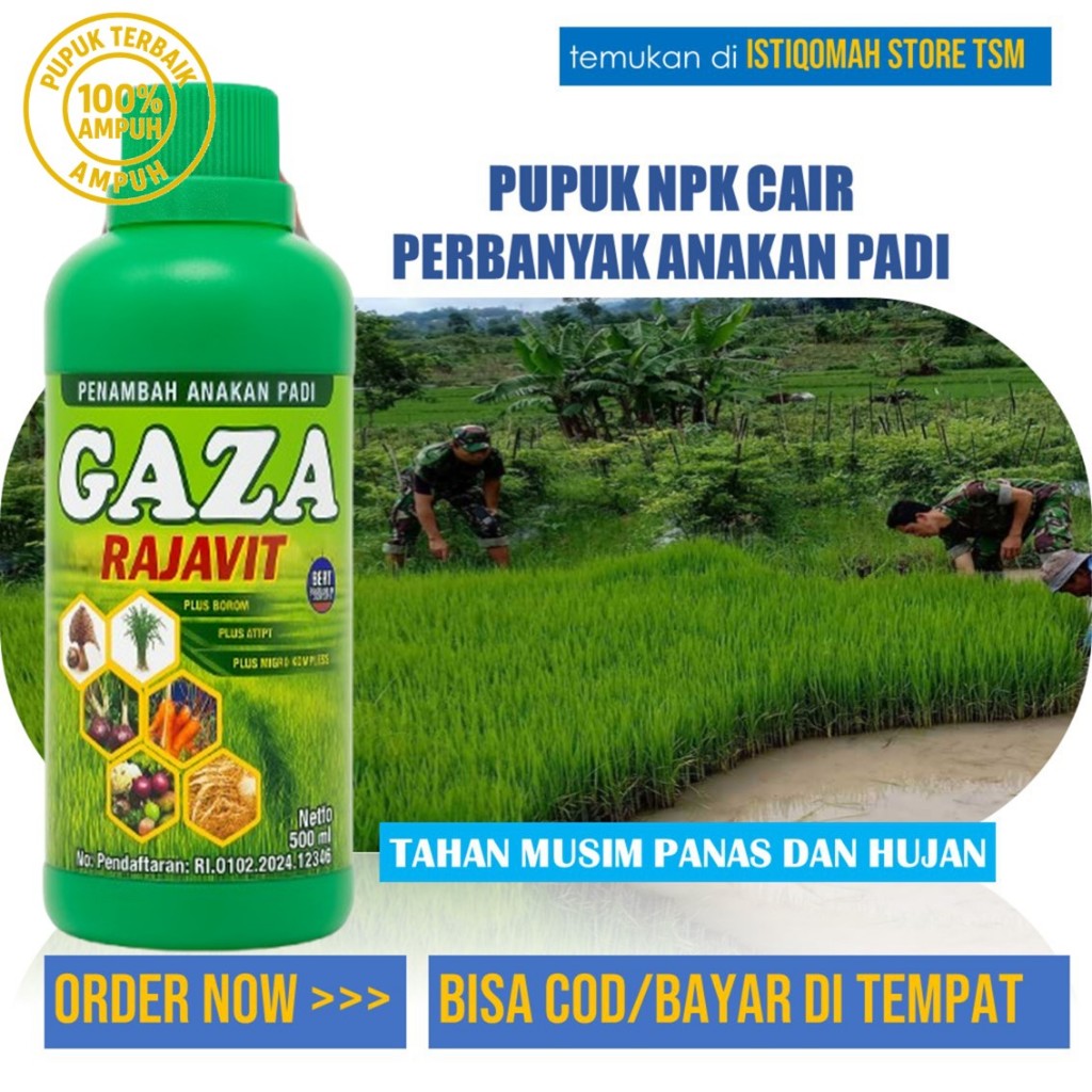 Pupuk Organik Perbanyak Anakan Padi: GAZA RAJAVIT Pupuk NPK Cair 500 ML Meningkatkan Produksi Padi d