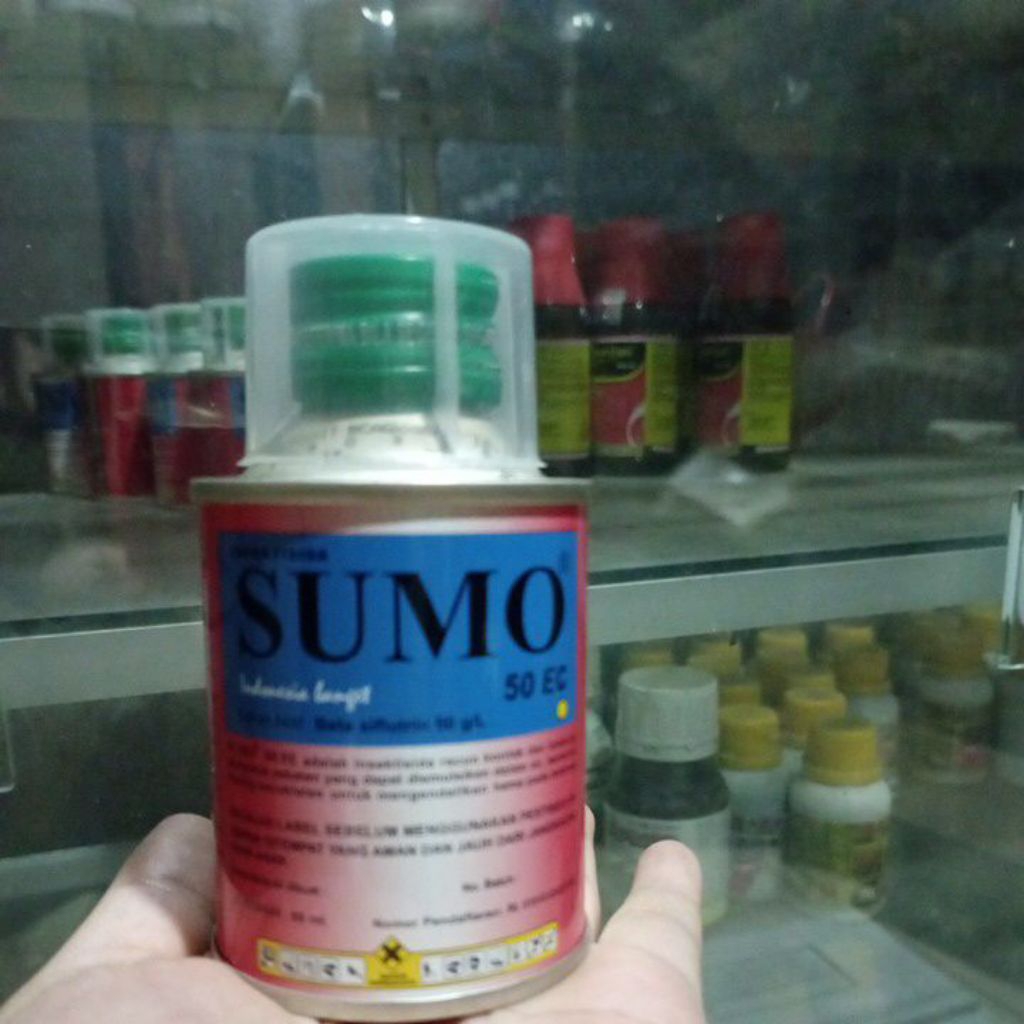 SUMO 50 EC 80 ML