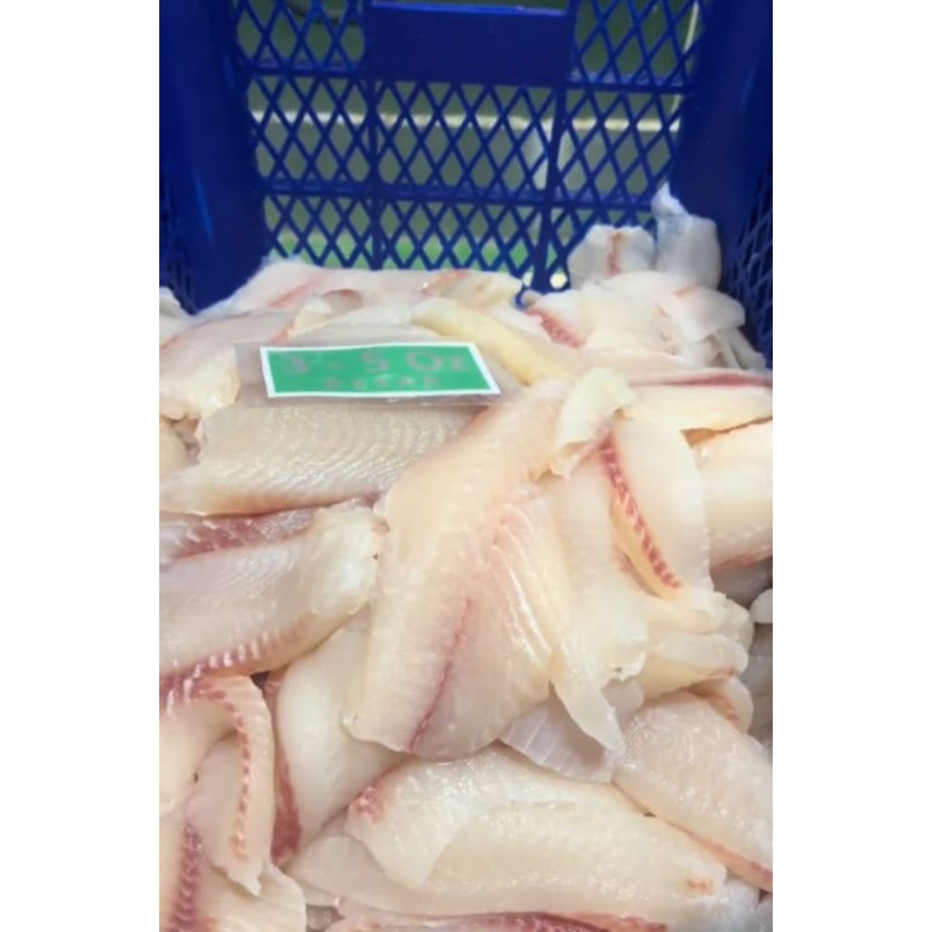 Daging Ikan Nila Fillet
