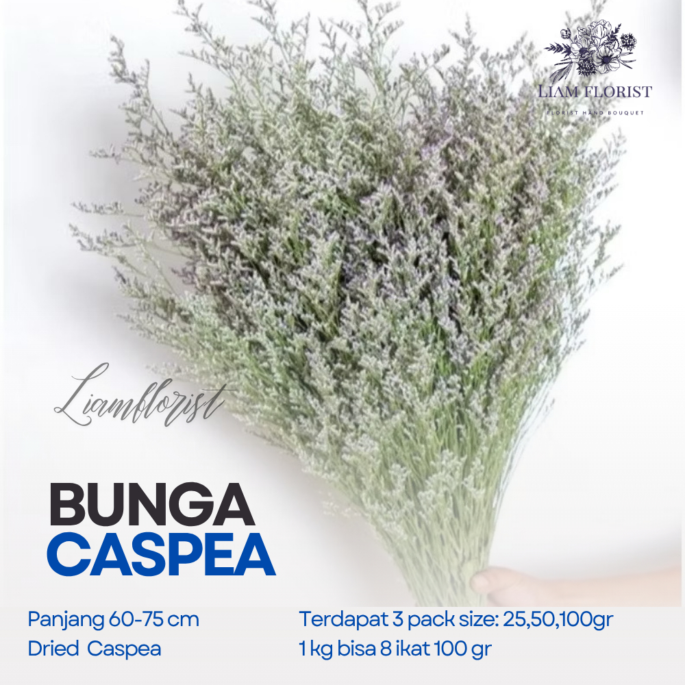 (25gr) Caspea/ Preserved & Dried Caspea Lover Grass / Dried Flower Awetan / Bunga Kering