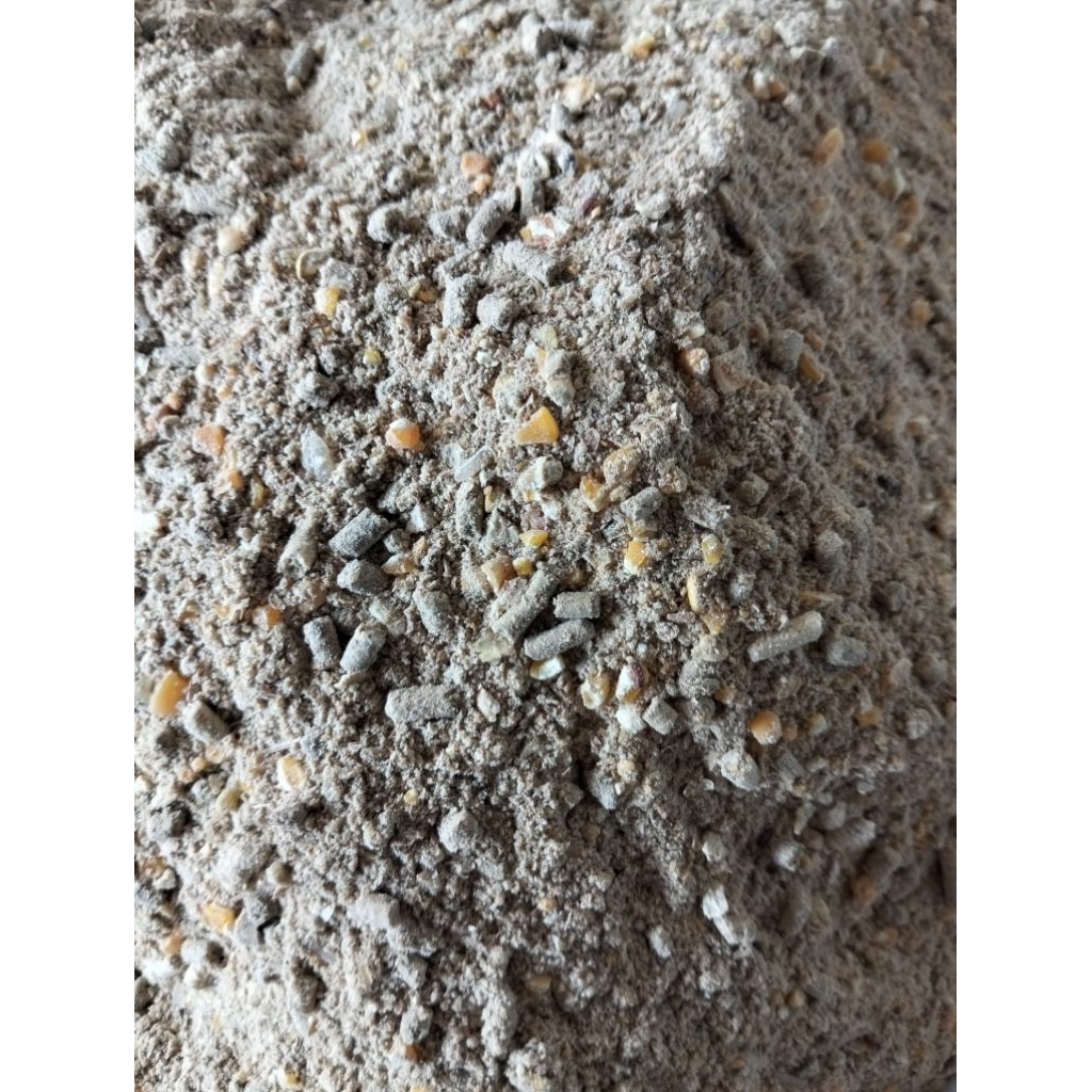 Grosir Cod Pakan ayam Petelur dan bebek petelur berkualitas