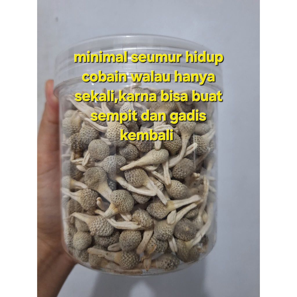 EMPOT EMPOT AYAM PUTIH ISI 100 KEPING