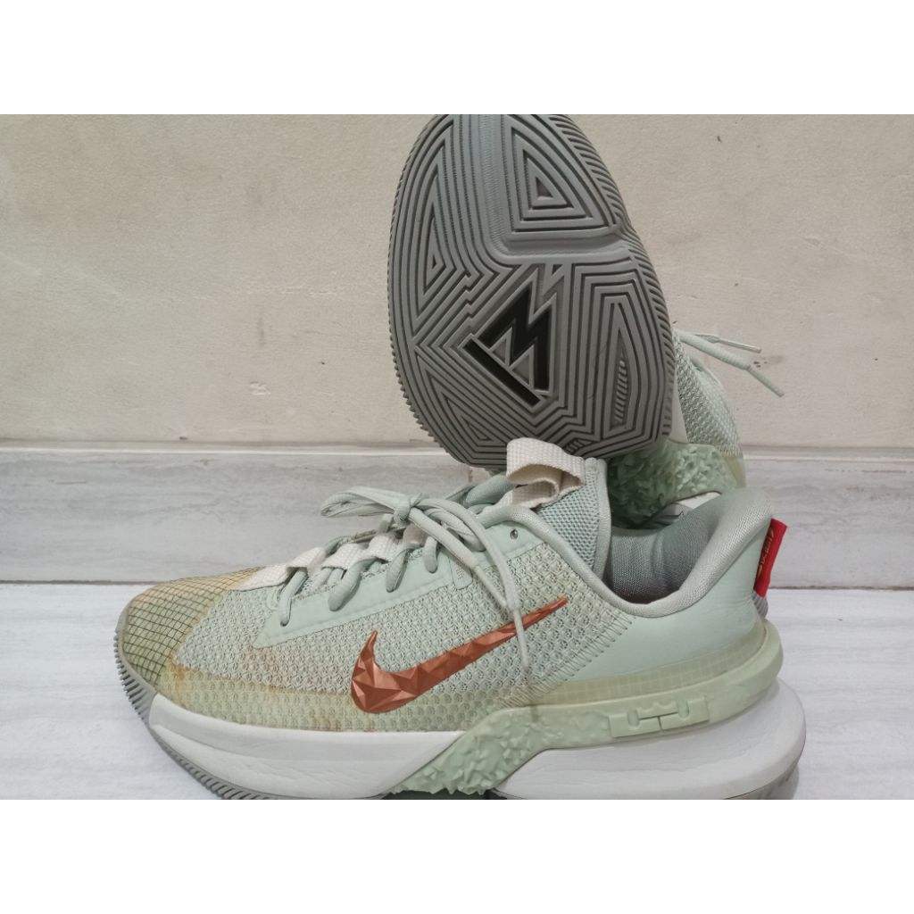 Lebron Ambassador 13