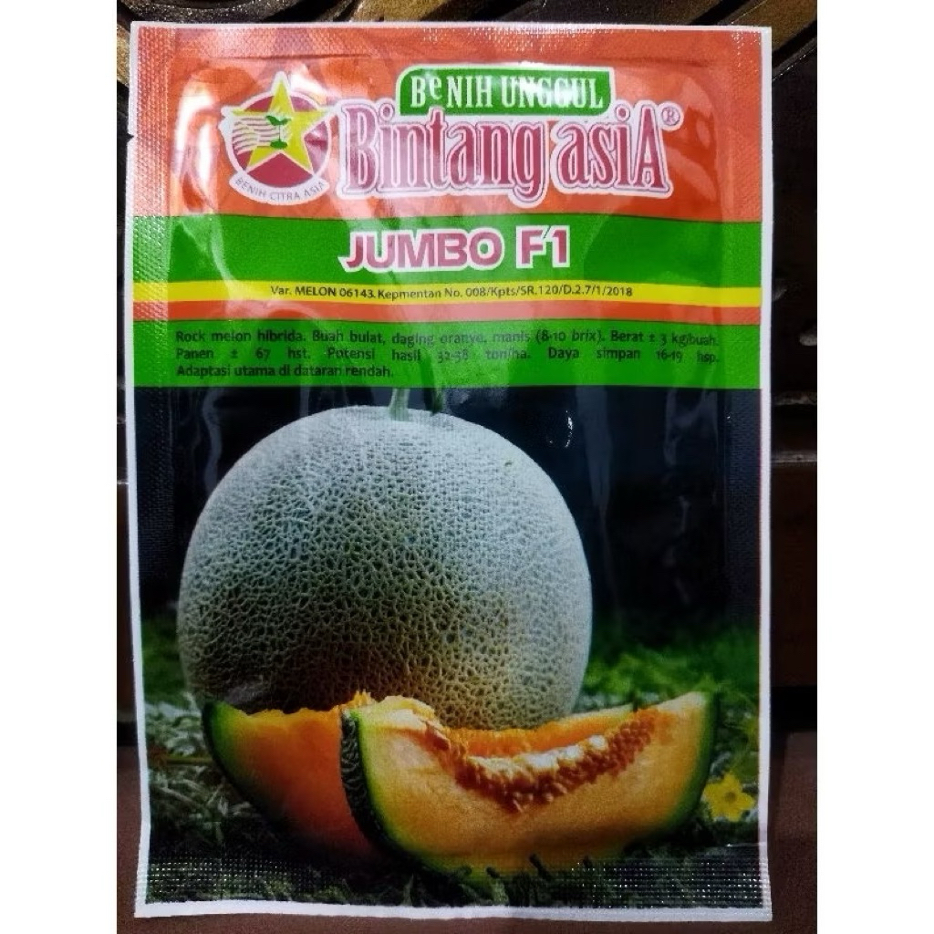 Benih bibit Rock Melon Orange JUMBO F1 20 Gram - Bintang asiA