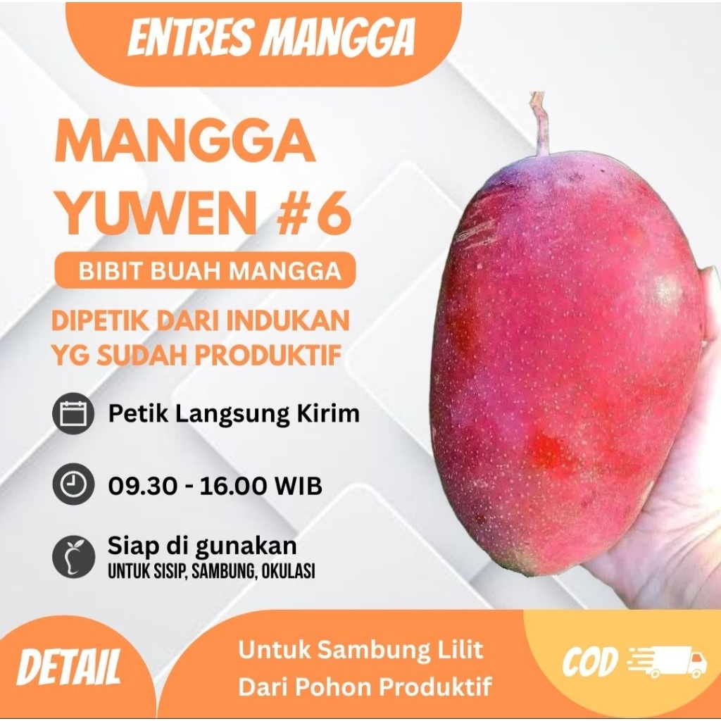 ENTRES MANGGA YUWEN#6