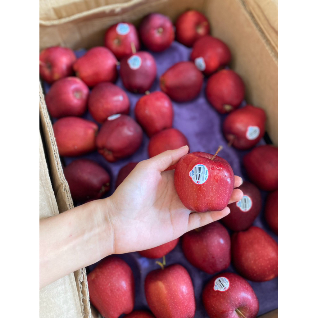 Apel merah washington