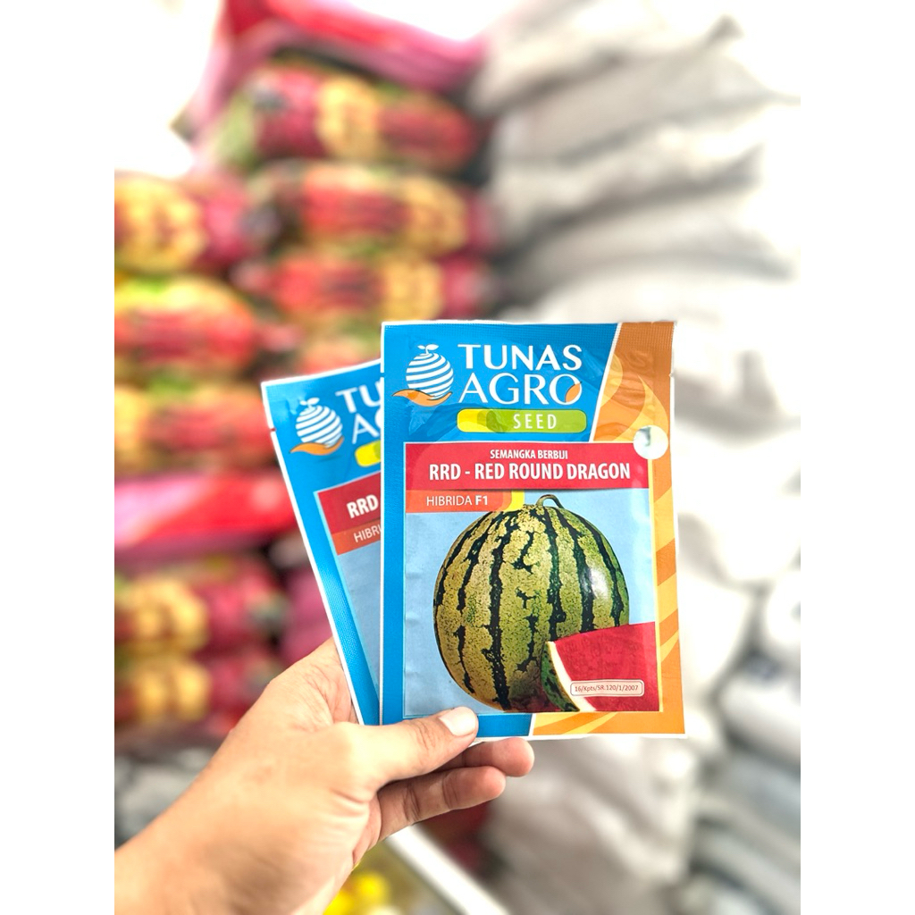 Benih bibit Semangka Merah Berbiji Red Round Dragon RRD 10gr Benih Unggul Ekslusif Tunas Agro