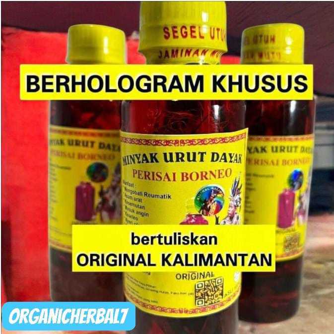 Minyak Urut Dayak Asli Kalimantan Perisai Borneo Minyak Herbal Tradisional