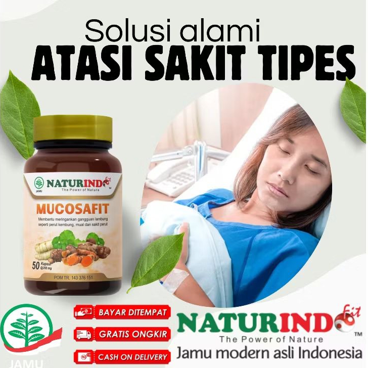 Obat Herbal Asam Lambung maag gerd tipes Paling Ampuh