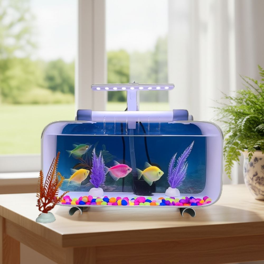 Aquarium Akrilik 30cm Fullset Elegan Minimalis | Aquarium Ikan Cupang/Hias