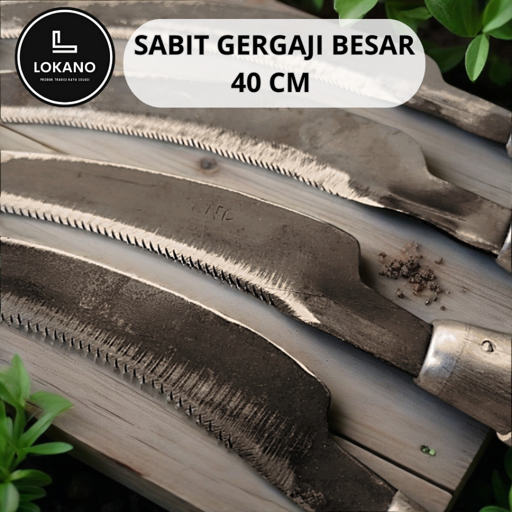 Sabit Gergaji Alat Panen Padi Super Tajam Ukuran Besar 40 cm Lokano