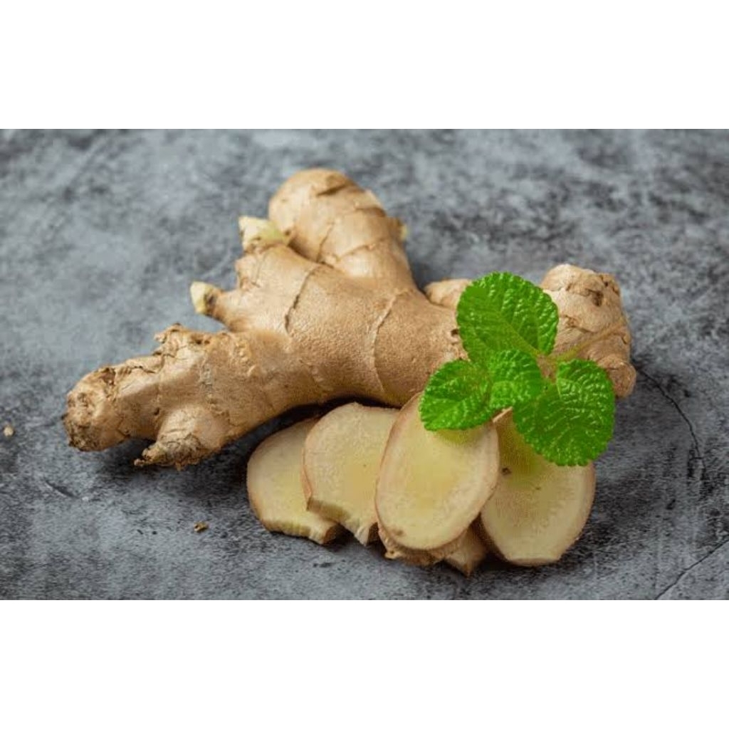 kunyit putih / kunir putih segar 1 kg