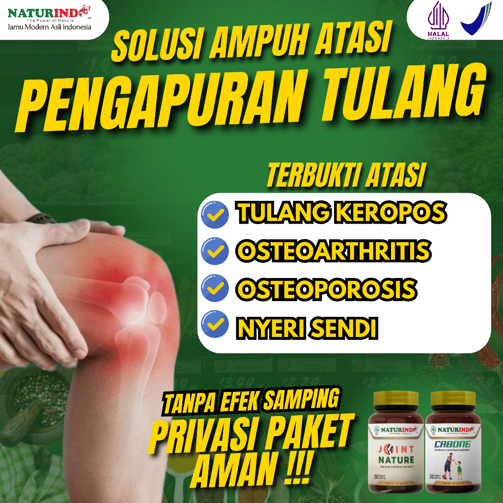 Obat Pengapuran Tulang Keropos Osteoporosis Osteoarthritis Herbal