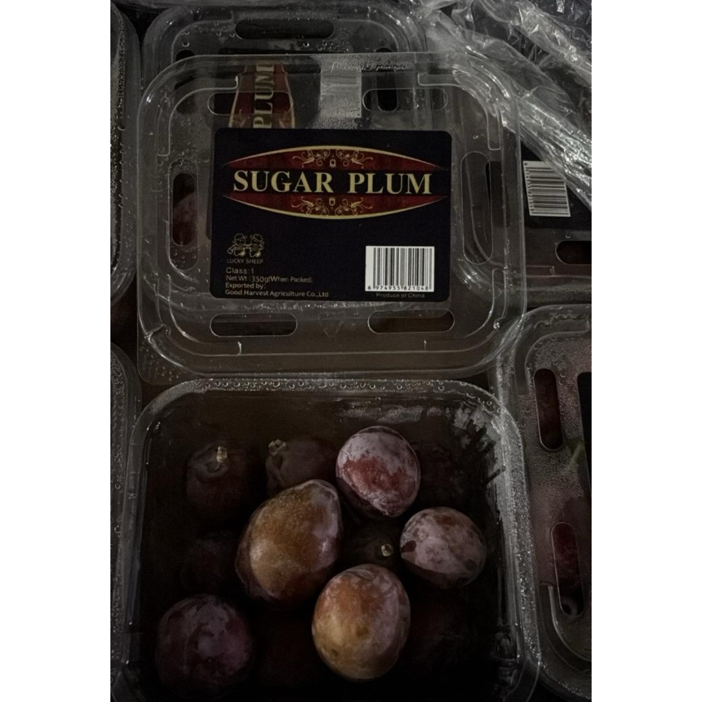 Buah Sugar Plum per pack