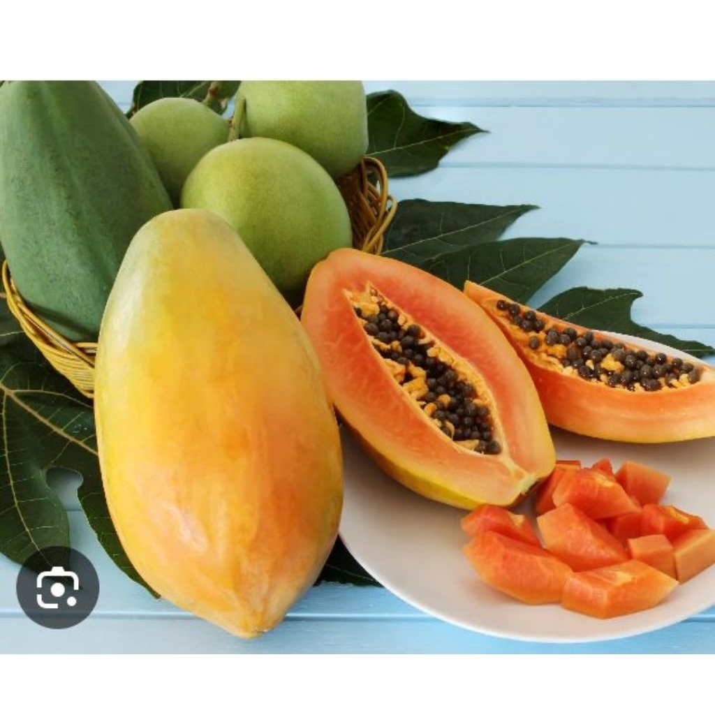 pepaya california.colet kuning.1kg