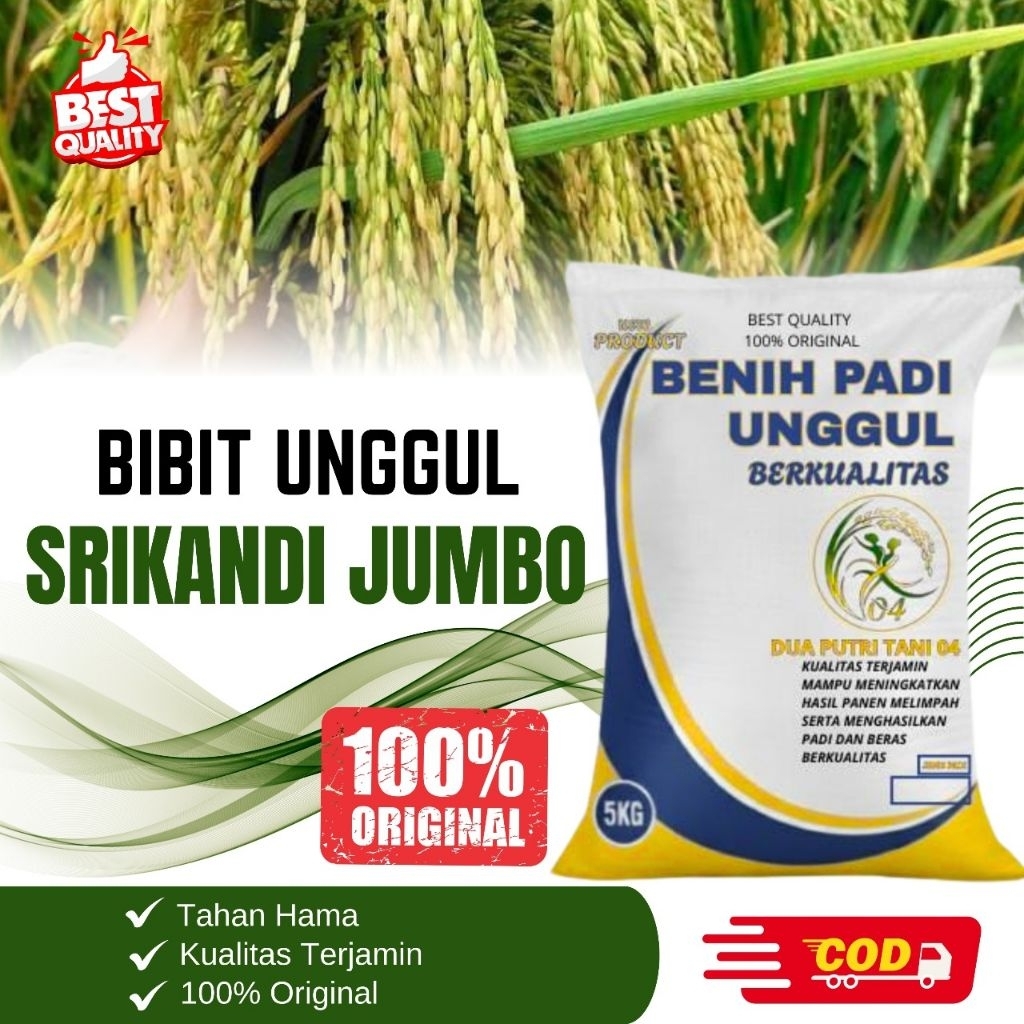 bibit PADI ( SAMBO)SRIKANDI JUMBO bibit unggul kemasan 5kg