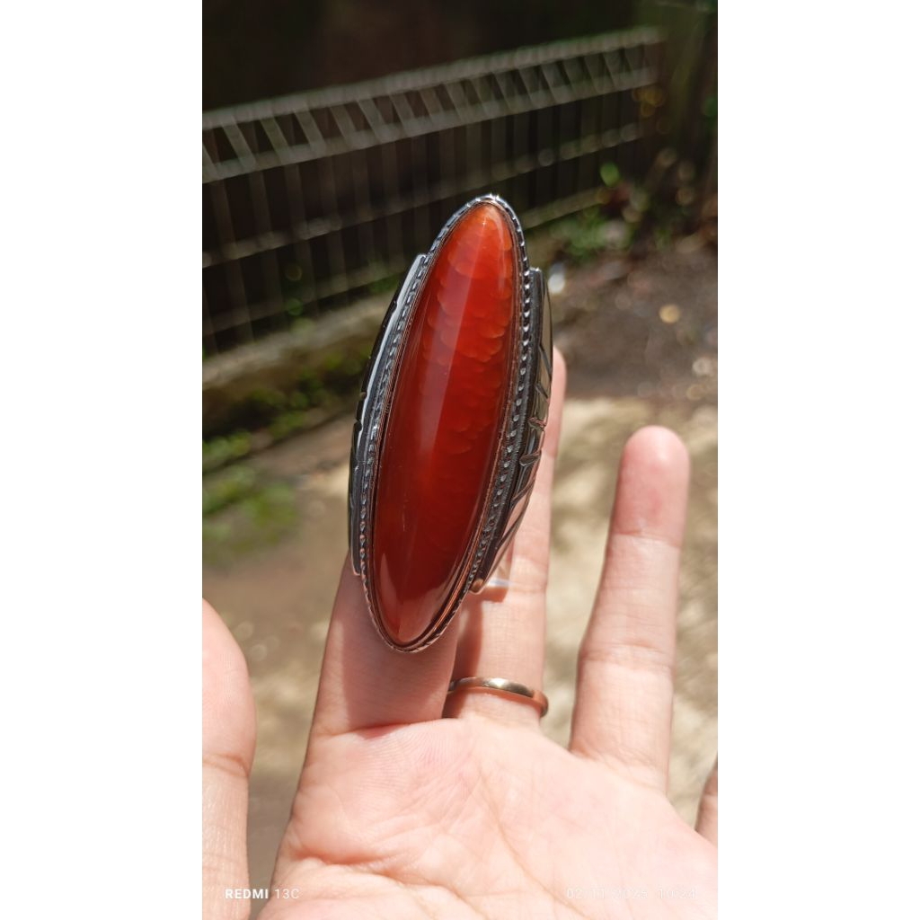 pandan merah sisik betik ring monel