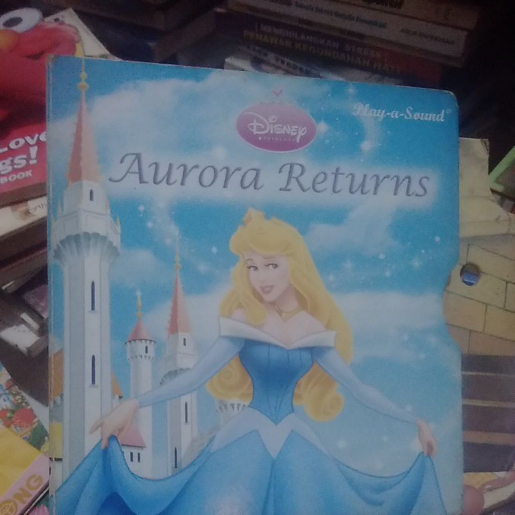 buku cerita anak Disney princess Aurora return