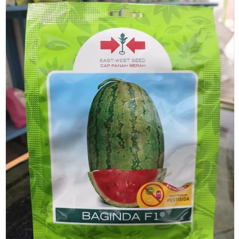 SEMANGKA BAGINDA 80 BUTIR