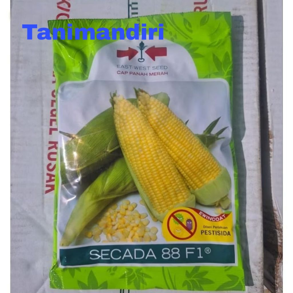 Benih Jagung Manis Secada 88 F1 isi 1800 butir